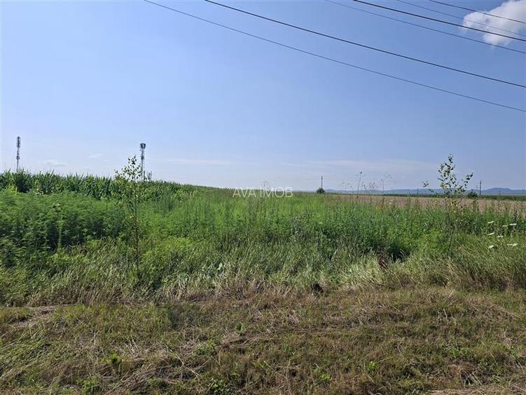 Teren intravilan 1600 mp, zona Nicolae Balcescu - 11