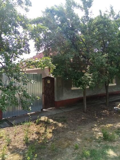 Vand casa cu 3 camere in Zerindul Mic Comuna Misca Jud ARad