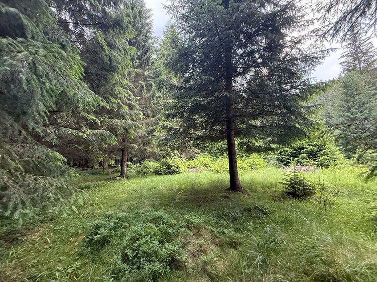 Teren intravilan de vânzare-COMANDAU /COVASNA-2500mp