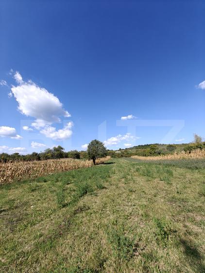 Teren intravilan în Călinești, județul Argeș