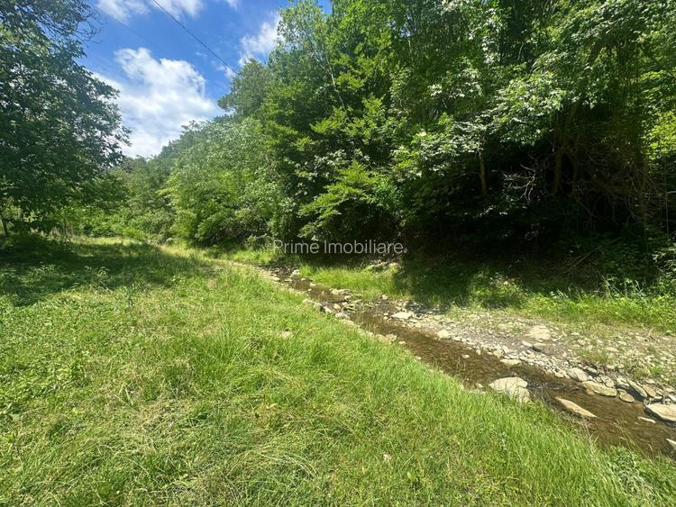 Casa de vacanta 98 mp| 25.000 mp teren| zona Valea Vintului - 4