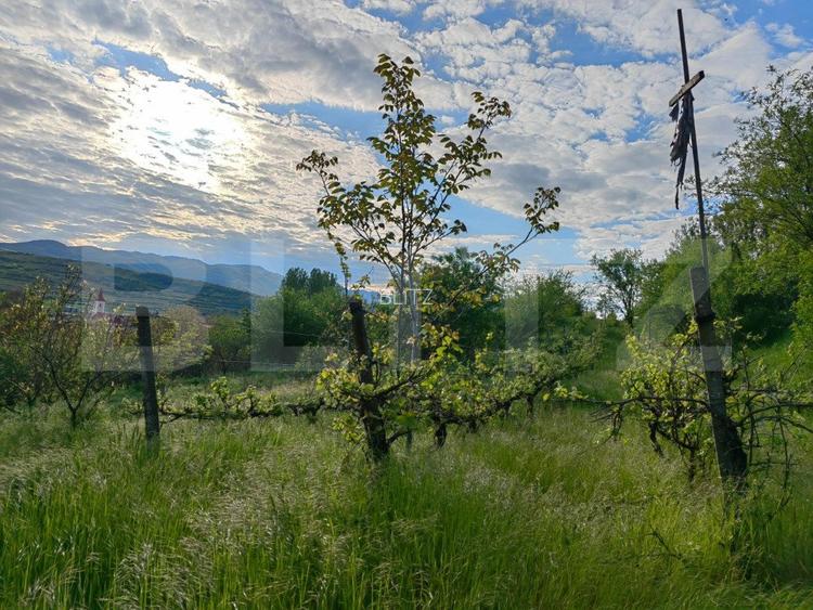 CONAC | 4ha DE TEREN | Clădire la roșu pretabilă Agropensiune în Șard - 10