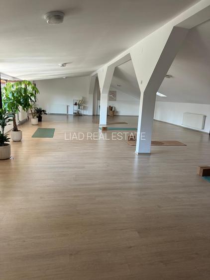 Studio sau birouri mansarda Universitate - strada Sfintilor 6 - 11