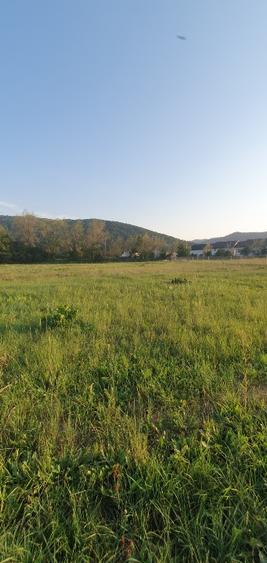 5200 sau 2600 mp teren vanzare,direct proprietar, parcelabil, apropiere Arinis