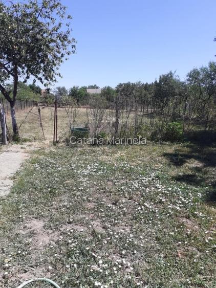 Casă renovată complet – Aluniș (15 km de Arad) - 4