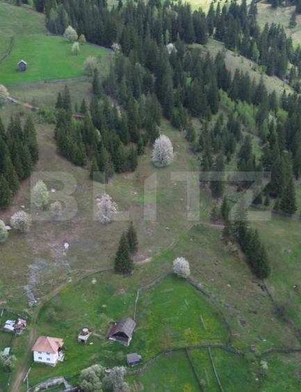 Teren intravilan si extravilan 23.000 mp, front 150 ml, Sadova - Bucovina