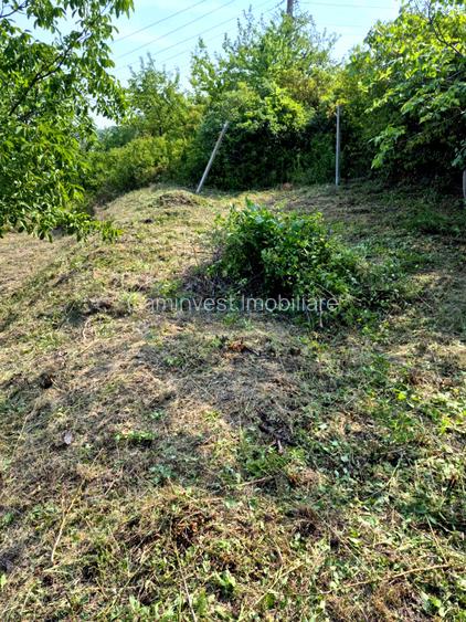 Teren in zona verde aproape de oras, zona Doja, Oradea - 6