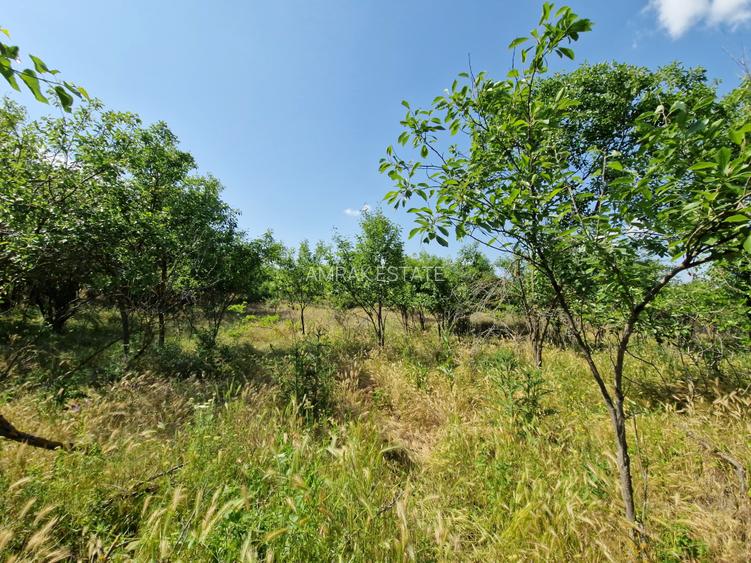 Teren langa lac - 40 km de Bucuresti - 8