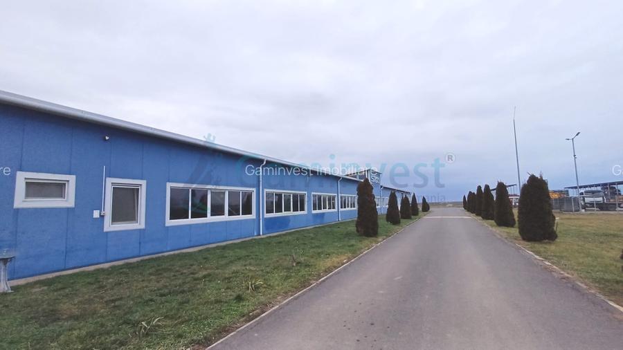 Spatiu industrial de vanzare in Biharia, hala 1200 mp si 23772 mp teren - 3