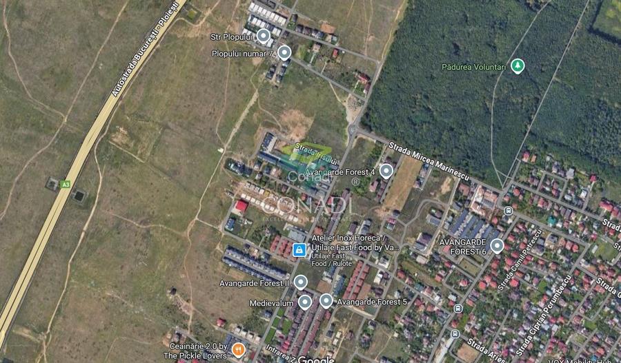 Teren -  Voluntari - zona Matei Millo - 5.607 mp - 4
