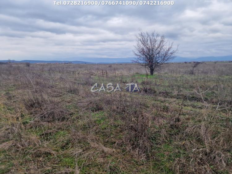 Teren Extravilan (5900 mp),situat in Targu-Jiu, Preajba-Dragoieni