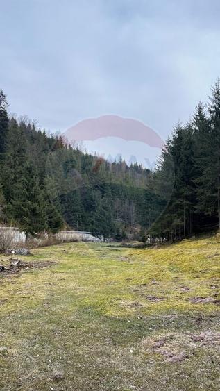 Teren intravilan 4331mp | Arieșeni | Oportunitate de Investiție