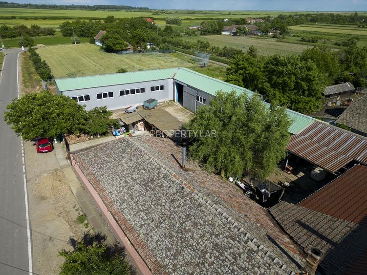 Clădire cu 5 camere cu teren și hală în Cenad - 28