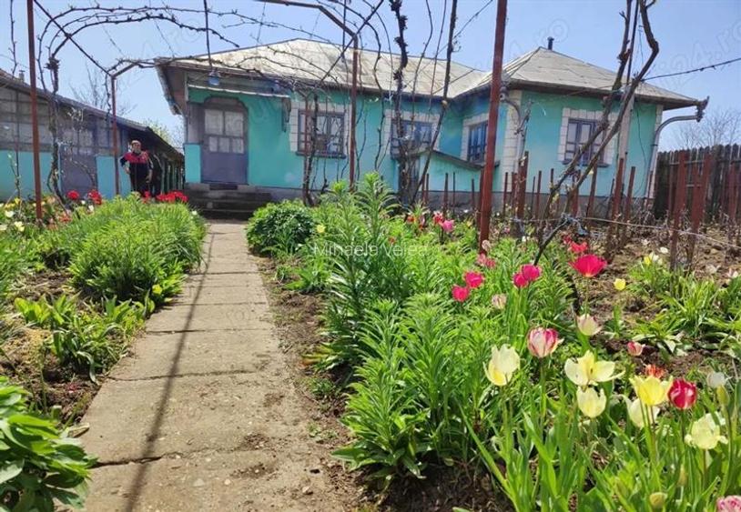 Casă de vânzare în comuna Perișor, județul Dolj - 9