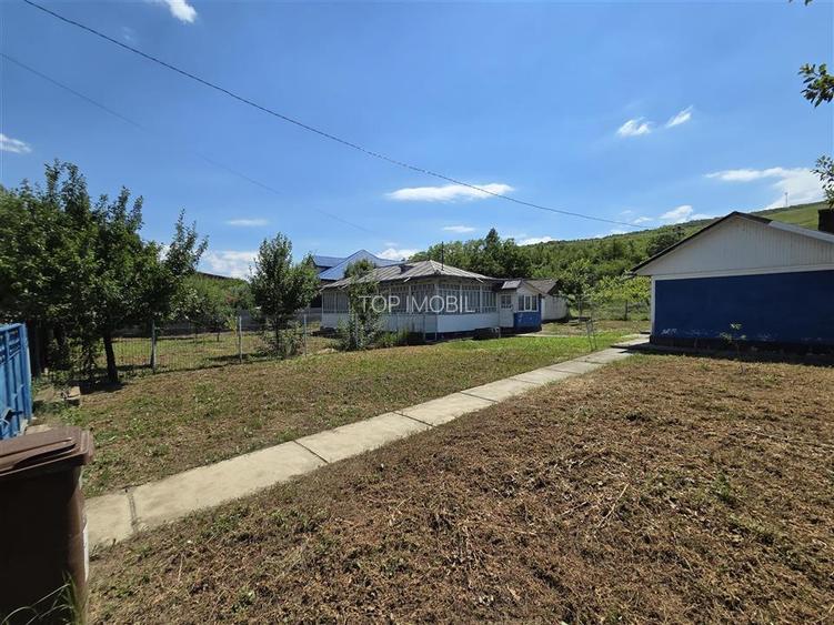 Teren 4800MP - Tomesti - La Soseaua Principala - 8
