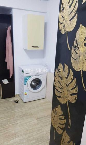 Apartament  1 camera, Valea Lupului - 4