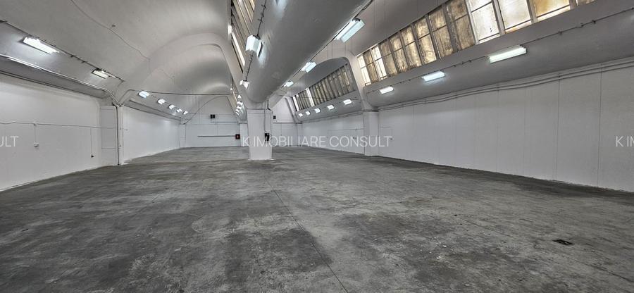 Pantelimon hala productie depozitare - 37