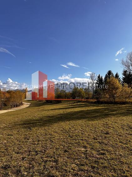 Teren Bran-Tohanita loturi intre 500/1000 mp - 4