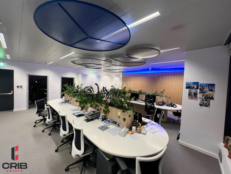 Spatiu birouri premium + 7 locuri parcare Herastrau | Caramfil  - 2