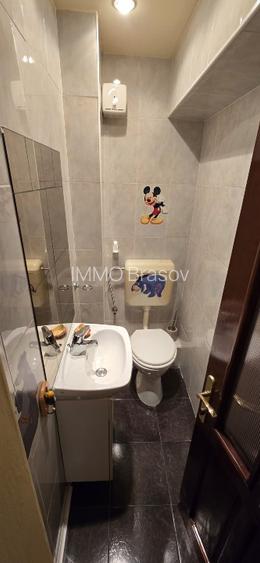 Apartament 3 camere mobilat si utilat Zona Calea Bucuresti -Vulturului - 15