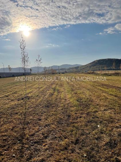 Vanzare teren intravilan 3000 mp, deschidere 28 m cu utilități Măgureni, Prahova - 6