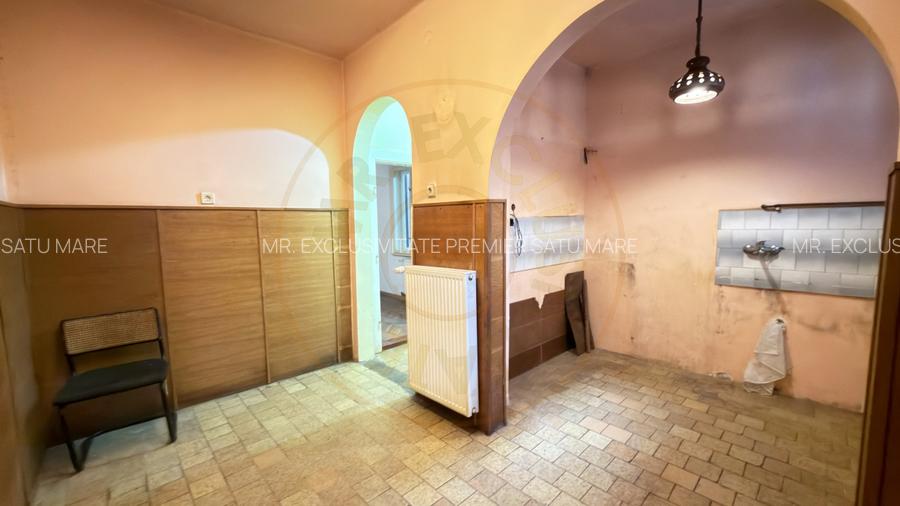 Proprietate cu 2 case | Teren 546 mp | Str. Albinelor Nr.18 - Carei - 9