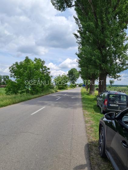 Teren intravilan situat într-o zonă superbă , vis-a-vis de Parcul Natural Comana - 3