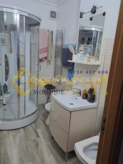 3 Camere | Zona ultracentrala | Parter | Beci | 2 intrari | Mobilat | - 4