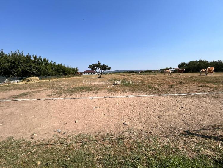 Parcele de teren intravilan de vanzare Fughiu, Bihor - 2