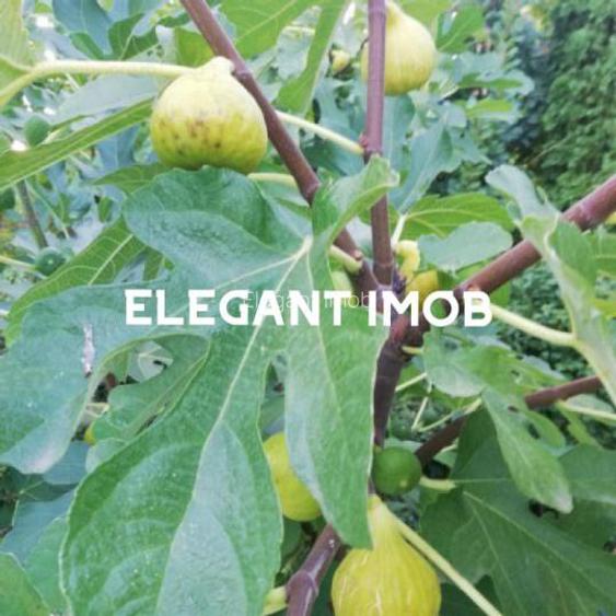 Vila Paradisul Verde - Corbeanca - 30