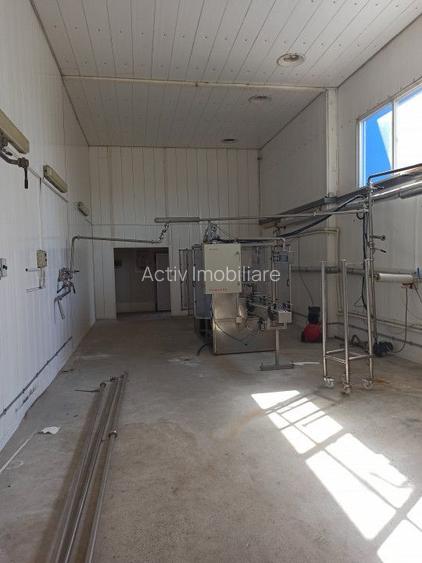 HALA ideala pentru PRODUCTIE ALIMENTARA, Poiana, Ovidiu – 827 mp, teren 4066 mp - 21