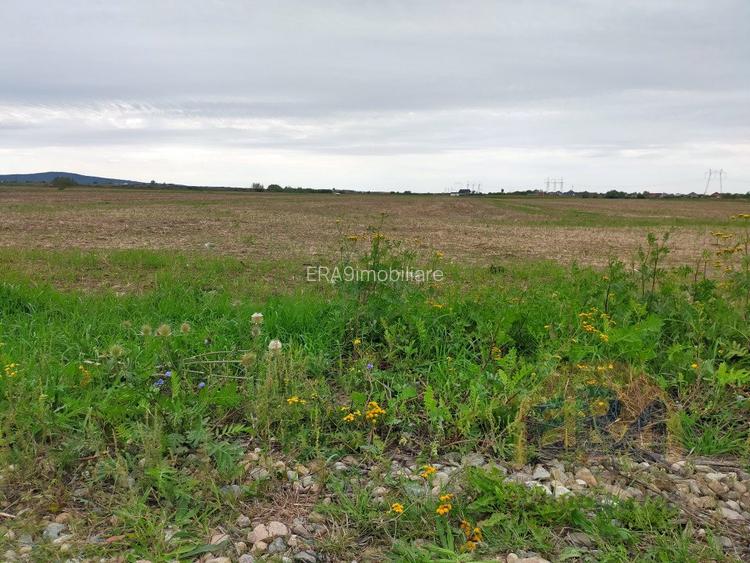 Teren Osorhei, Str. 610 - 7