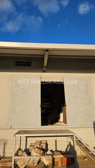 HALA CU MULTIPLE ACTIVITATI I 265  MP I TEREN 608 MP I Alba Iulia I - 12