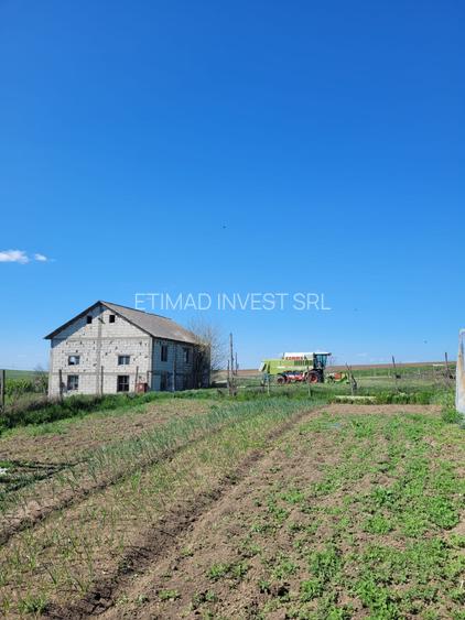 FERMĂ - PIETRENI - DN3 - UTILITĂȚI - 10.680 MP - 2