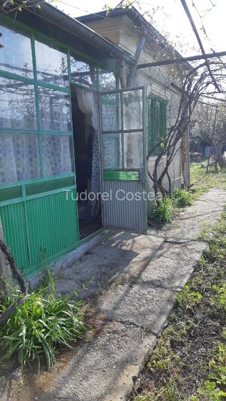 Casa de vanzare in Turnu Magurele - 4