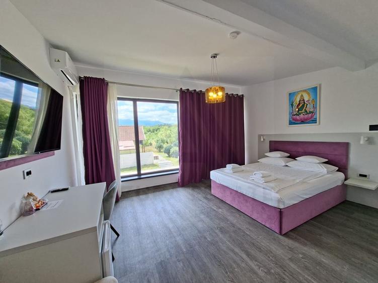 Pensiune 600 mp an 2023 si casa 130 mp teren 4600 mp zona V. Avrigului