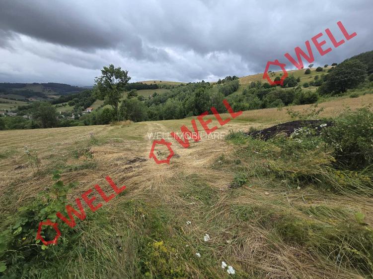 De vânzare teren extravilan loc. Sărămaș - 5