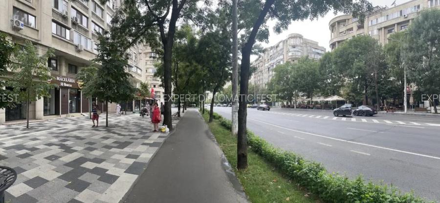 Decebal- Alba Iulia, 100 mp sau 230 mp - pret 3200 euro, inchiriere - 3