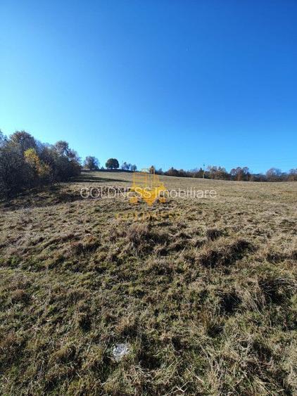 Teren de vanzare, intravilan, 16667 mp, Abrud, Jud. Alba - 2