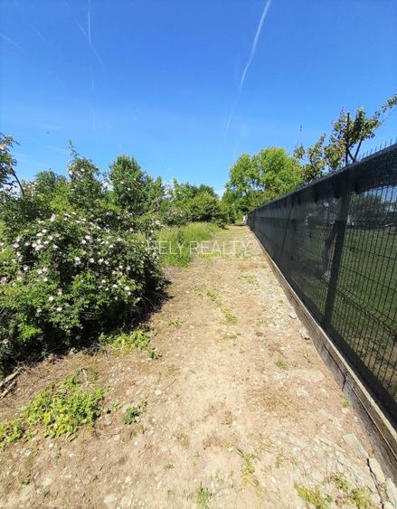 Teren intravilan Snagov / Ciofliceni / 678 mp / D: 52.20 m / comision 0% - 7