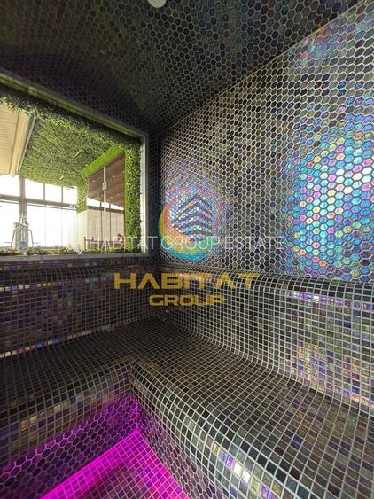 Penthouse in Parcul Lumea Copiilor Constantin Brancoveanu - 25