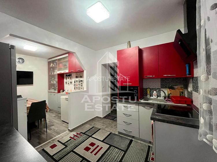 Doua apartamente de vanzare la curte comuna,zona Traian, Timisoara - 5