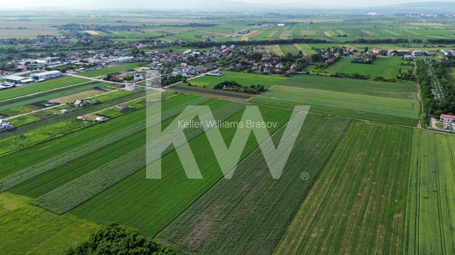 Teren intravilan 17.240 mp Stupini, str. Baciului-Luncii - 6