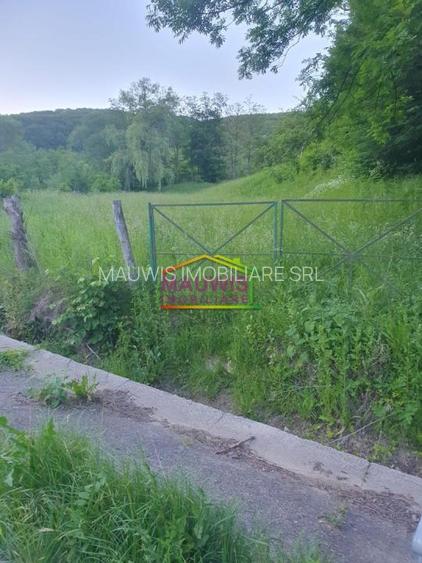 Prahova- Valenii de Munte- Varbilau 1659 mp - 4