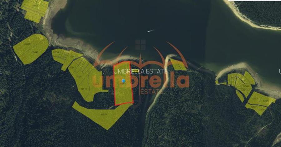 Teren de vanzare 29.131m²/35€ m² lac Belis, la Paraul Butoaie, Giurcuta - 5