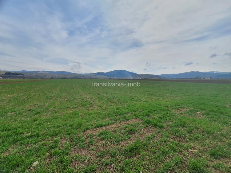 Teren Industrial Brasov - Tarlungeni deschidere la DN 103B - 2