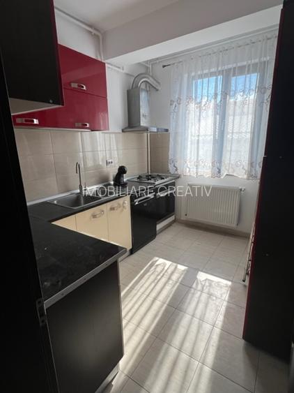 Apartament 2 camere de inchiriat In Drumul Taberei Militari Timisoara - 12