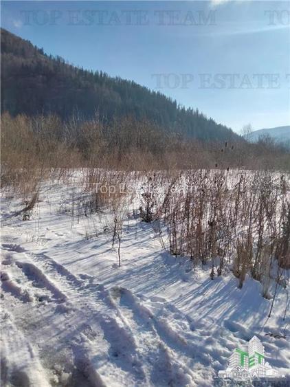 Teren Intravilan Sinaia 4034 mp - 5