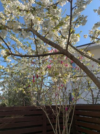 Vila superba, direct de la proprietar - 12