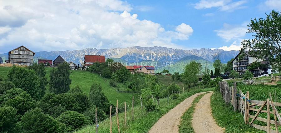 Teren pentru casa de vacanta , Pestera , Brasov - 15